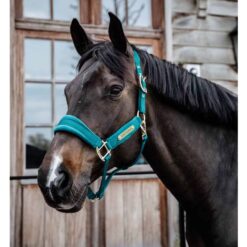 Kentucky Velvet Halter