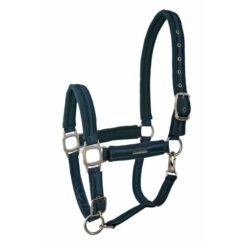 Lami-Cell Aurora Head Collar