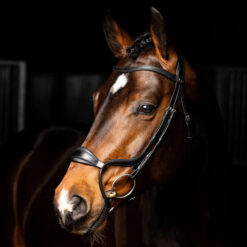LeMieux Arika Anatomical Noseband Bridle