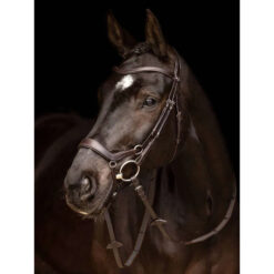 LeMieux Arika Drop Bridle