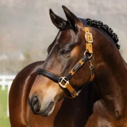 LeMieux Capella Headcollar