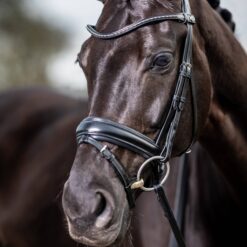 LeMieux Kudos Classic Dressage Bridle