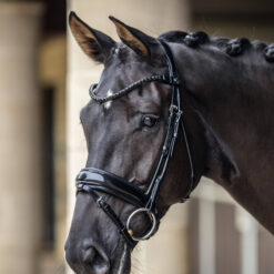 LeMieux Kudos Patent Dressage Bridle