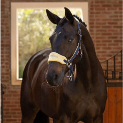 LeMieux Vogue Headcollar & Leadrope