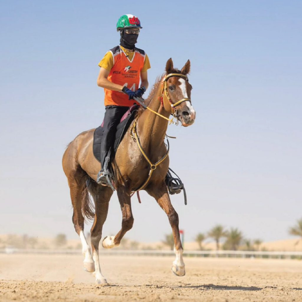 N3F RIDING MASK | STG | UAE | AL ZARRAB
