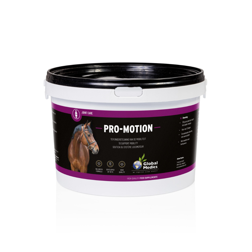 PRO MOTION | ADVANCED MOBILITY SUPPORT FOR HORSES-GM