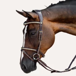 PS of Sweden Bridle Antwerp 2.0