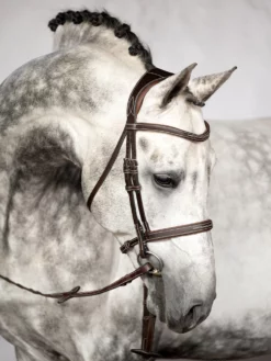 PS Of Sweden Bridle Ocala