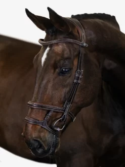 PS Of Sweden Bridle Paris