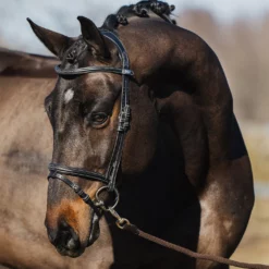 PS of Sweden Bridle Stockholm