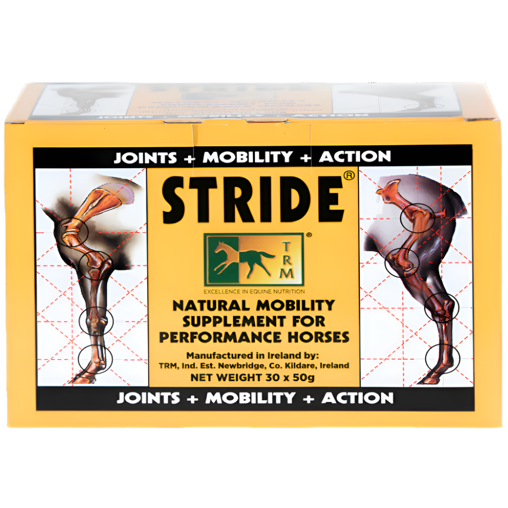 STRIDE | TRM | UAE | AL ZARRAB