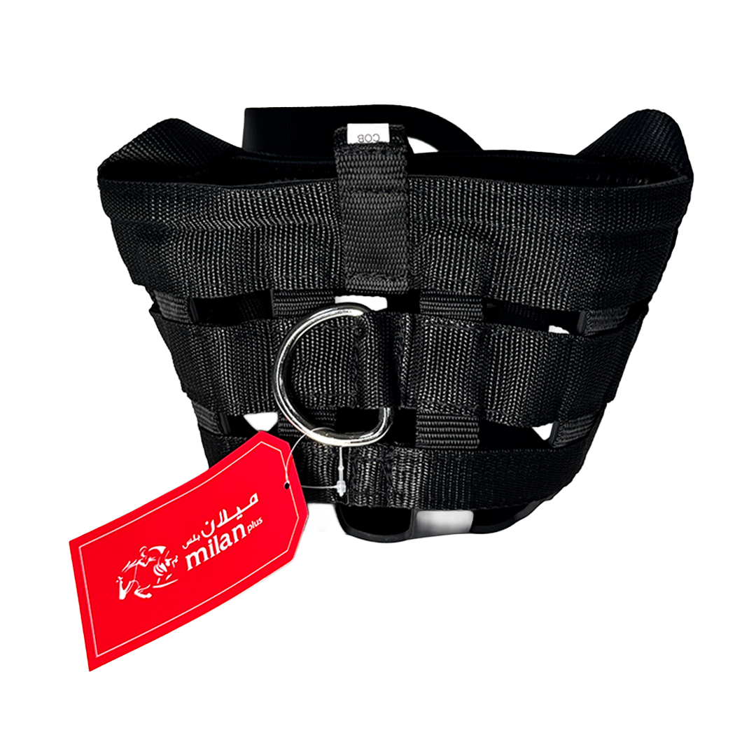 Heavy-Duty Nylon Training Surcingle